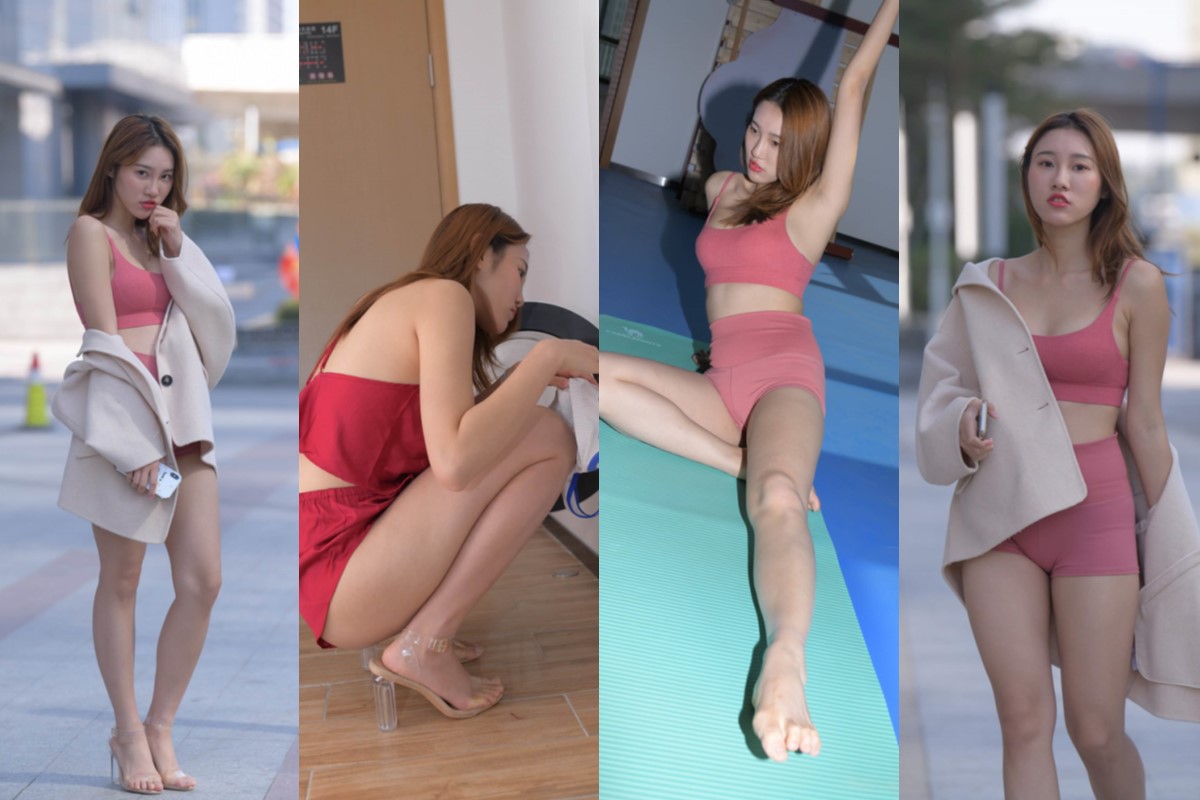 阳光下安静的猫 【套图+视频】